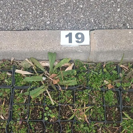 Le Marin - Pool And Parking * 昂蒂布